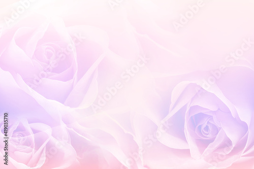 Tender flowers as background. Floral card design
