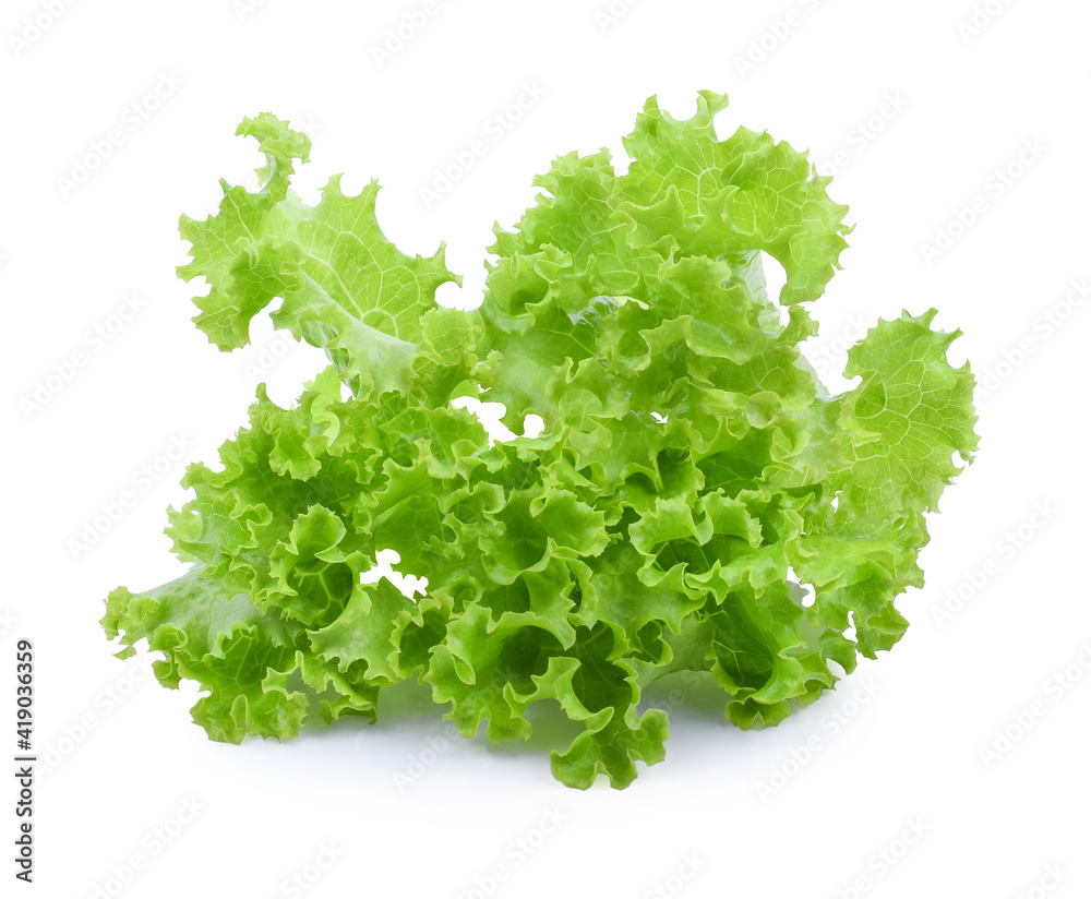 Obraz premium Salad leaf. Lettuce isolated on white background.
