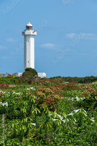 White lighthouse with a blue sky on background and low green vegetation surounded it. © Renata Barbarino