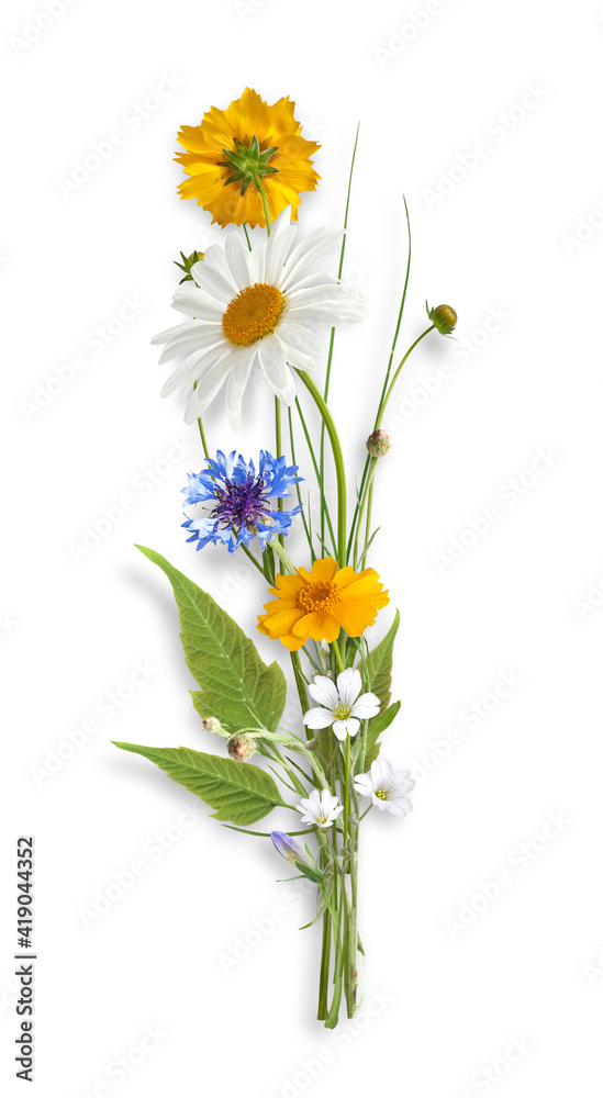 Summer bouquet from chamomiles, daisies and cornflowers isolated on white (without shadows)