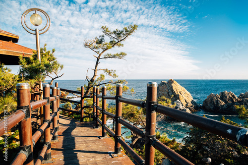 Jangho Port seaside trail in Samcheok, Korea photo