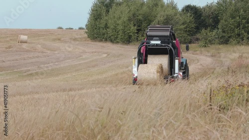 Rear view of a baler unloading twisted straw rolls on a field of stubble after harvesting. In the foreground, the ears of rye are swaying in the wind