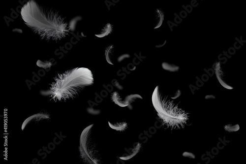 Group of Soft and Light White Feathers Floating in The Dark. Feather Abstract on Black Background. photo