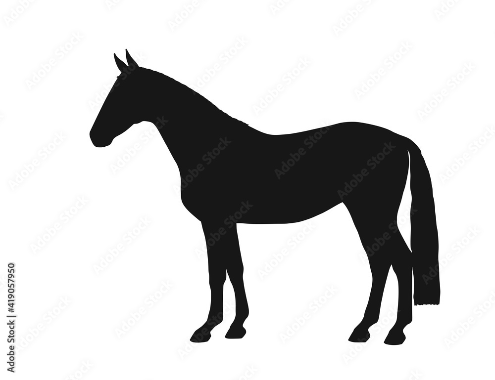 Black silhouette of a horse. Body silhouettes for designer