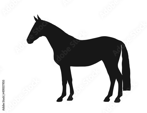 Black silhouette of a horse. Body silhouettes for designer