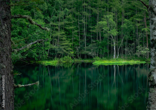 reflection of trees in the water