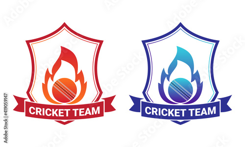 Creative cricket icon logo vector template

