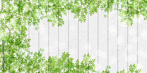 新緑　葉　春　背景
