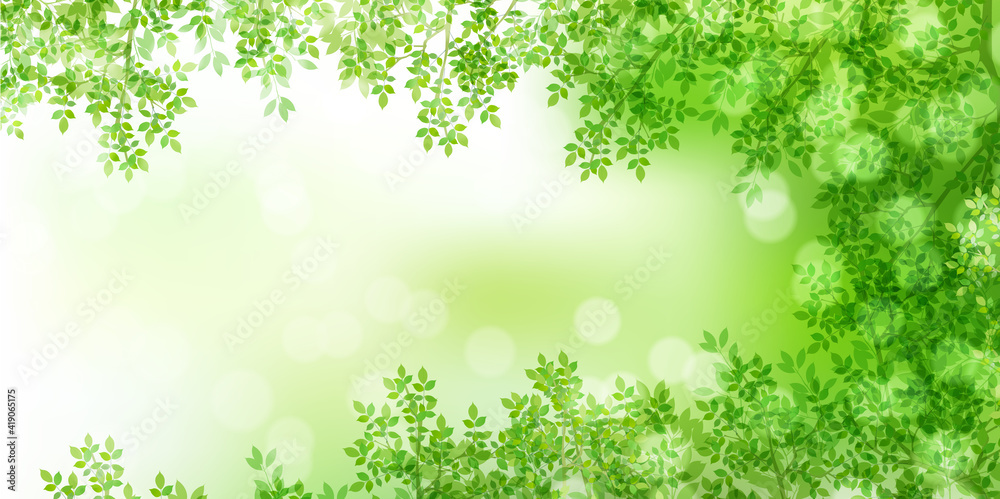 新緑 葉 春 背景
新緑 葉 春 背景