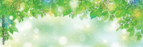 新緑　葉　春　背景
