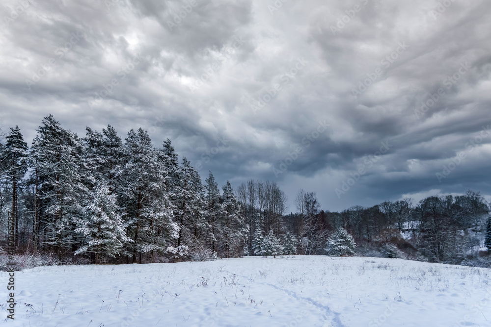 Fototapeta premium landscape in winter