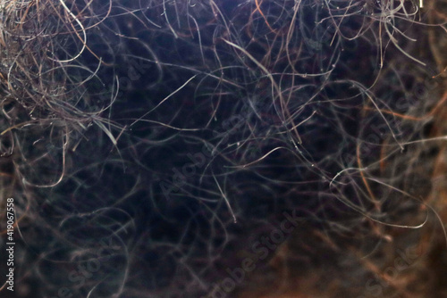 Closeup dark hair from a beard - messy texture of facial black, brown and red rough hairs