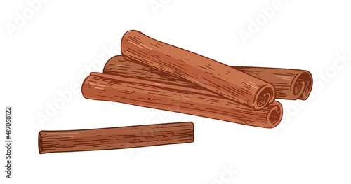 Detailed dry cinnamon sticks. Sweet aromatic winter spice of cinamon. Colored hand-drawn vector illustration of cinammon isolated on white background