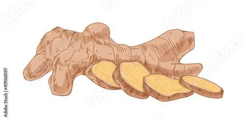 Fresh ginger root with slices and segments. Composition with Indian winter sp...