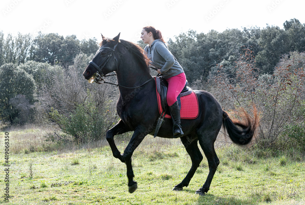 riding girl and horse riding girl and horse