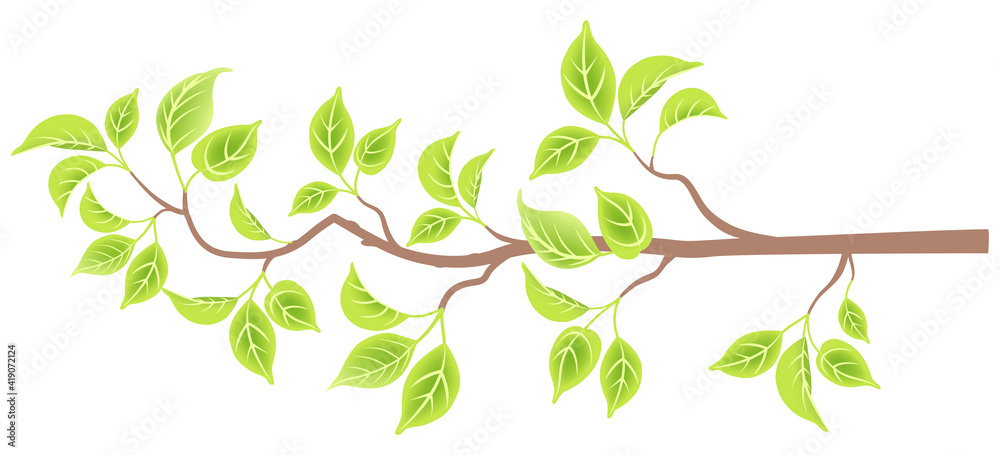 Green foliage branch