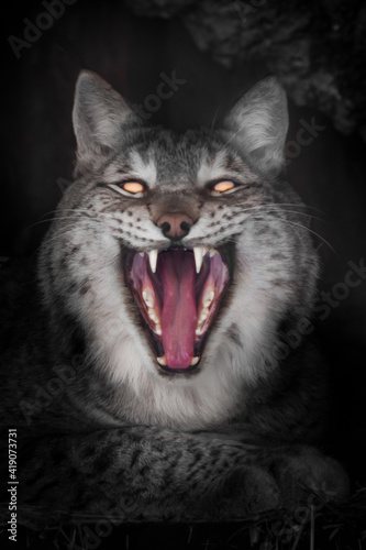 Demonic cat bared its mouth in satanic laughter, red mouth and eyes burning with hellfire