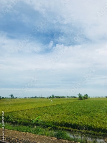 green field and sky © Allmond