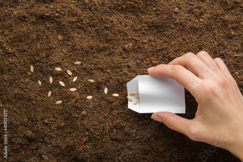 Photo Young adult woman hand holding white paper pack and pouring seeds on fresh dark soil
