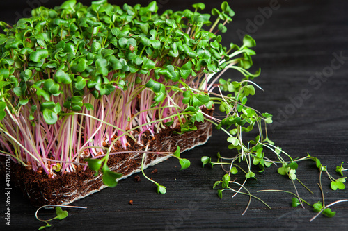 Growing sprouted seeds, microgreens. Healthy lifestyle. Green sprouts in a block of soil.