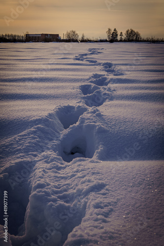 thick snow traces to nowhere photo