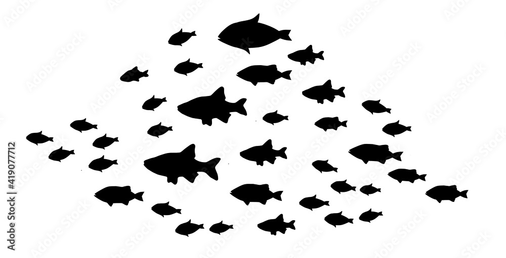 Silhouettes of groups of fishes on white Silhouettes of groups of fishes on white