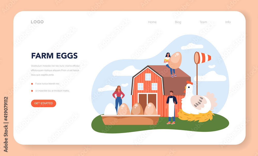 Farm egg web banner or landing page. Farming food production.