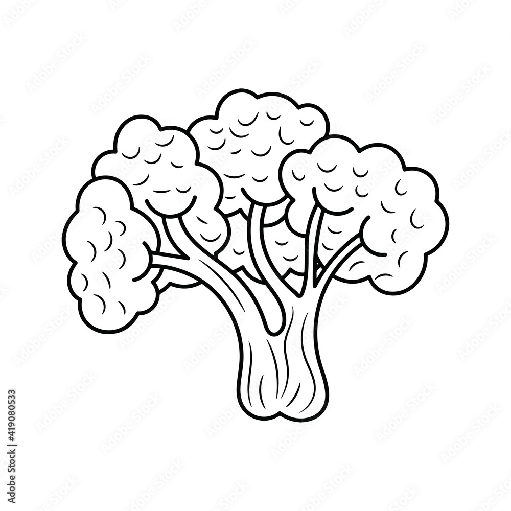 Broccoli vector illustration, simple hand drawn vegetable Line Icon Broccoli vector illustration, simple hand drawn vegetable Line Icon