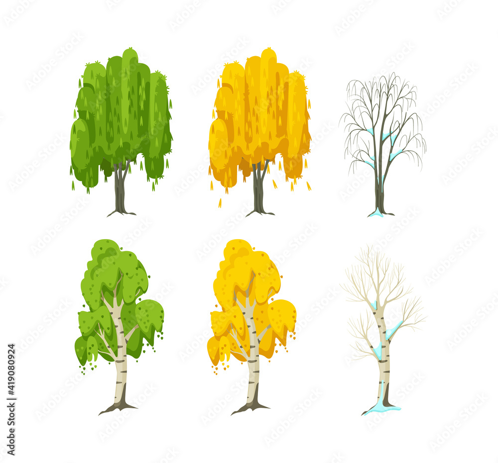 Cartoon tree at different times of year. Birch and willow seasonal tree ...