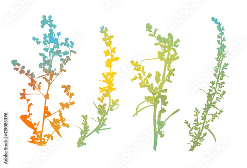 The silhouette of the grass set. Abstract background with colorful silhouettes of meadow wild herbs and flowers. Wildflowers. Floral background. Wild grass. Vector illustration.