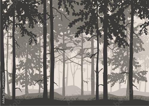 Forest background, silhouettes of trees. Magical misty landscape. Illustration. 