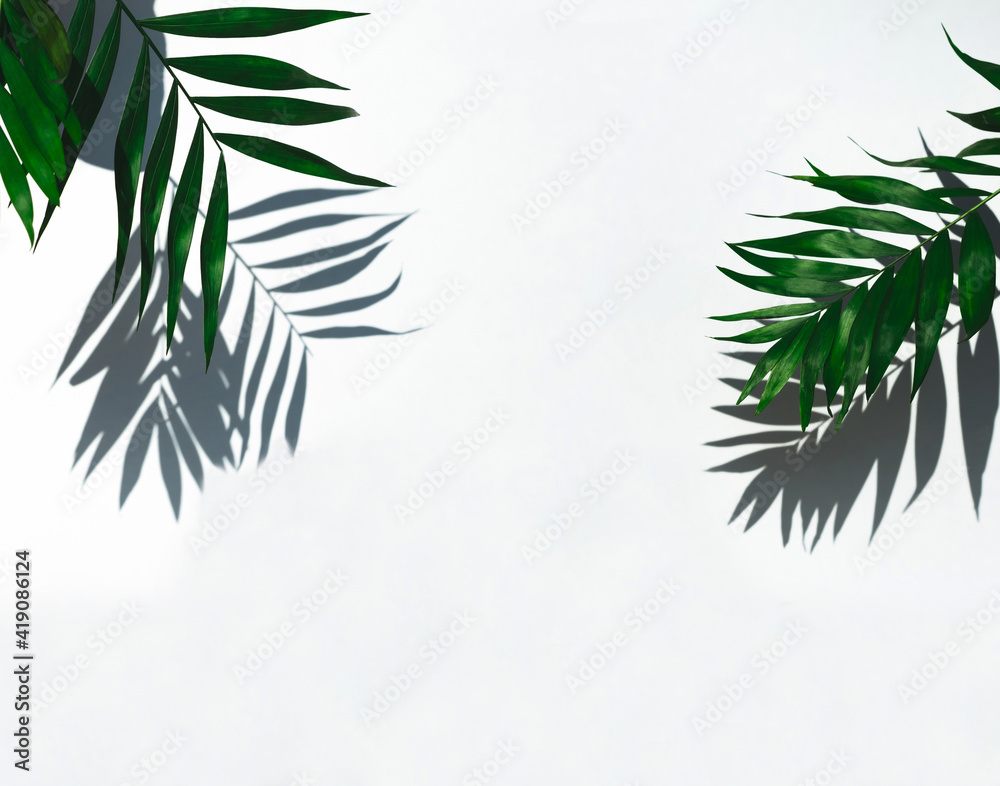 Fototapeta premium Empty scene product. Green tropical leaf shadow on white background. Minimal summer concept. 