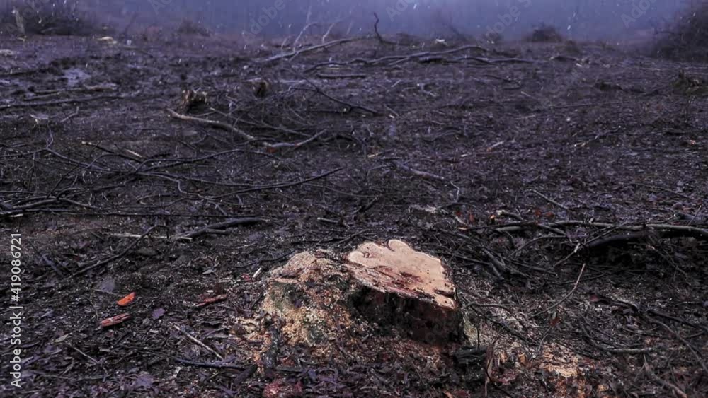 Deforestation area with mud and snow in winter season Deforestation area with mud and snow in winter season