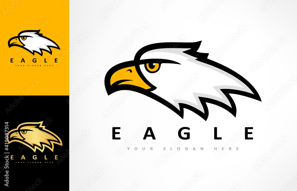 Obraz premium Eagle logo bird vector. Animal design.