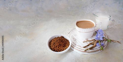 Instant roasted chicory root powder, a Cup of decaf drink, a milk jug, and fresh chicory flowers. Close-up on a light background. Copy space.