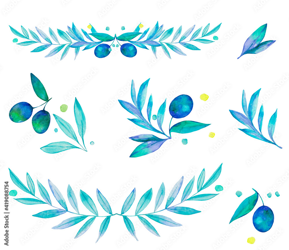 Watercolor black olive leaf illustration. Blue summer organic set. Nature tree isolated on white. Branch design food fresh floral vegetarian vegetable.