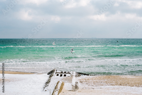 black sea in winter. seagulls fly in the sky