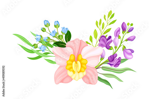 Pink Orchid Bloom with Labellum and Floral Branches Vector Illustration © Happypictures