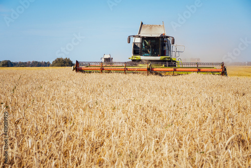 Combine harvester harvests ripe wheat. Ripe ears of gold field on the sunset cloudy orange sky background. . Concept of a rich harvest. Agriculture image.