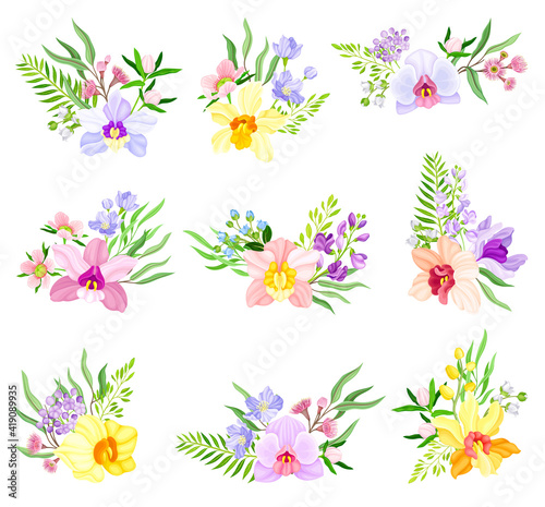 Fragrant Orchid Blooms with Labellum Arranged with Floral Branches Vector Set