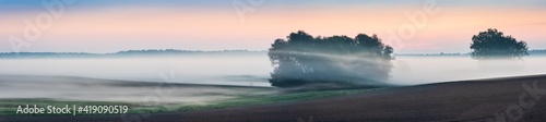 Panorama of foggy fields at sunrise