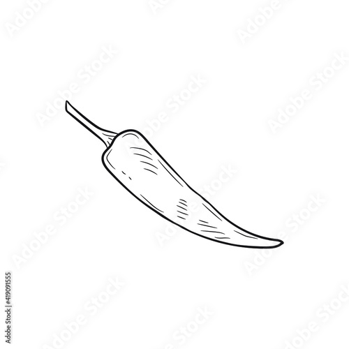 Cute hand drawn pepper. The ingredient for various meals in cooking. Vector 