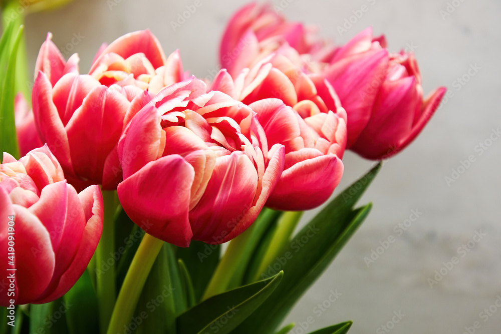 Close-up of a bouquet of fresh pink tulips in the vase. Colourful flowers and herbs. Womens and mothers day backgrounds