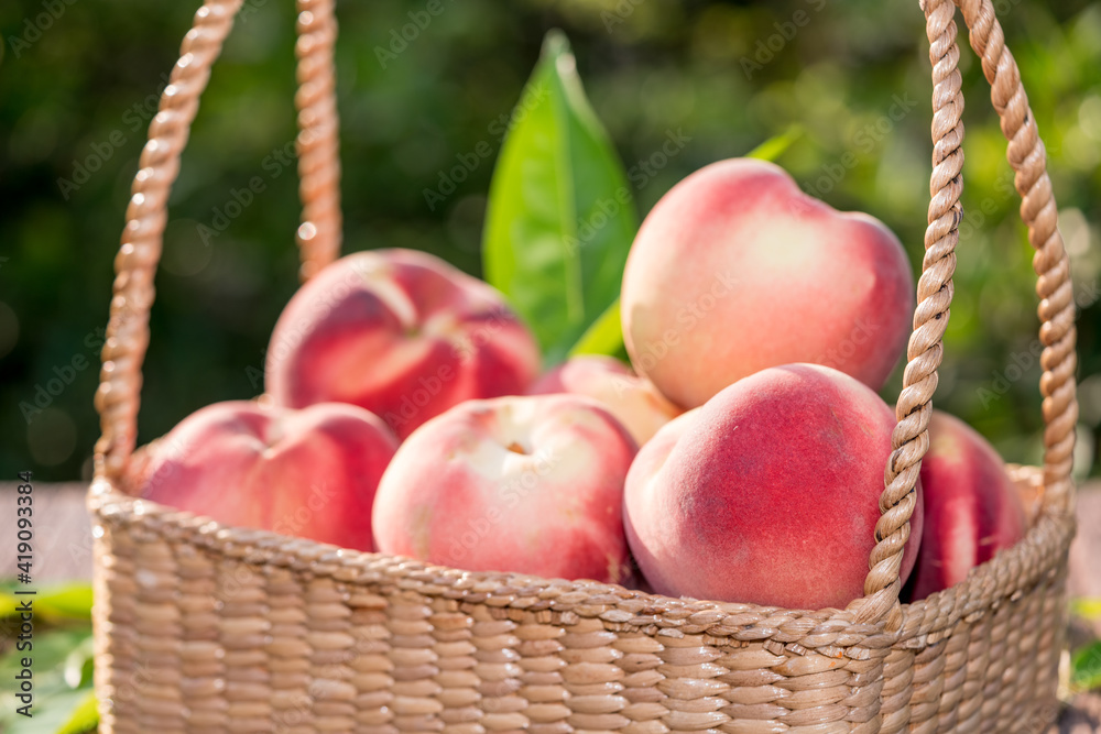 Fresh Peach fruits in blur background, Peach in Bamboo basket on wooden table in garden.