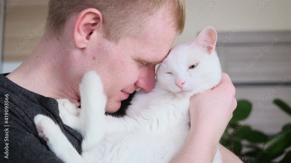 Young Caucasian blond male holding a white cat in his arms. The concept of love for pets, a cat's trust in humans.
Young Caucasian blond male holding a white cat in his arms. The concept of love for pets, a cat's trust in humans.