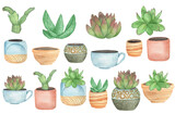Watercolor green succulents in boho pots, hand drawing clipart