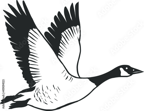 Flying wild goose Vector illustration