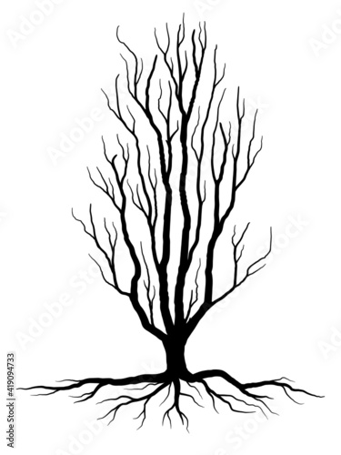 Black Branch Tree or Naked trees and root silhouettes. Hand drawn isolated illustrations.