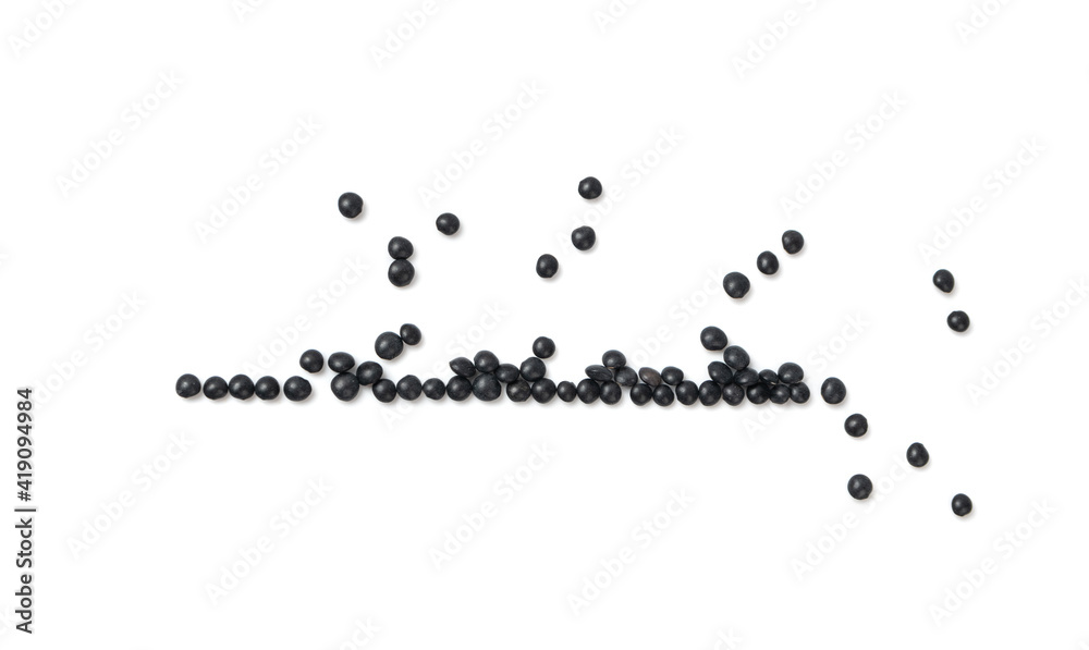 Raw Dry Lentils, Lentil Grains, Dal, Daal, Dhal, Masoor Raw Dry Lentils, Lentil Grains, Dal, Daal, Dhal, Masoor