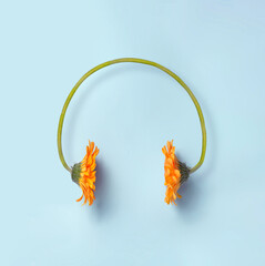 Two orange daisy flowers making a headset on a simple blue background.